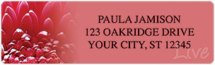 Inspirational Daisies Address Labels
