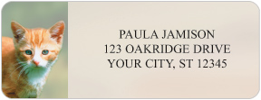 Purrfect Address Labels