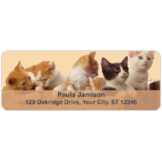 Precious Kittens Address Labels