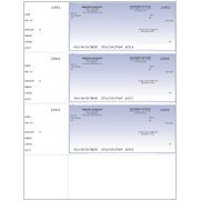 Safety Blue Laser Wallet