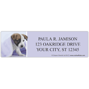 rachaelhale Dogs Address Labels