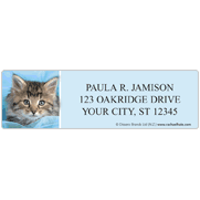 rachaelhale Kittens Address Labels